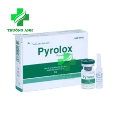 Pyrolox - Thuốc điều trị viêm khớp dạng thấp và viêm xương khớp